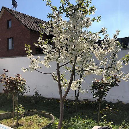 Kleve-Kellen Leilighet Kleve  Eksteriør bilde